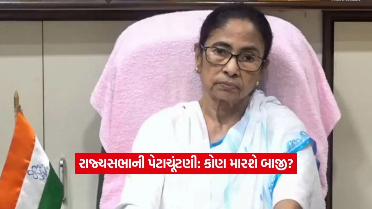mamata2.jpg