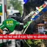 E20 Petrol2