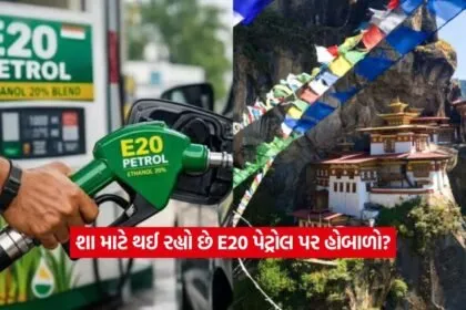 E20 Petrol2