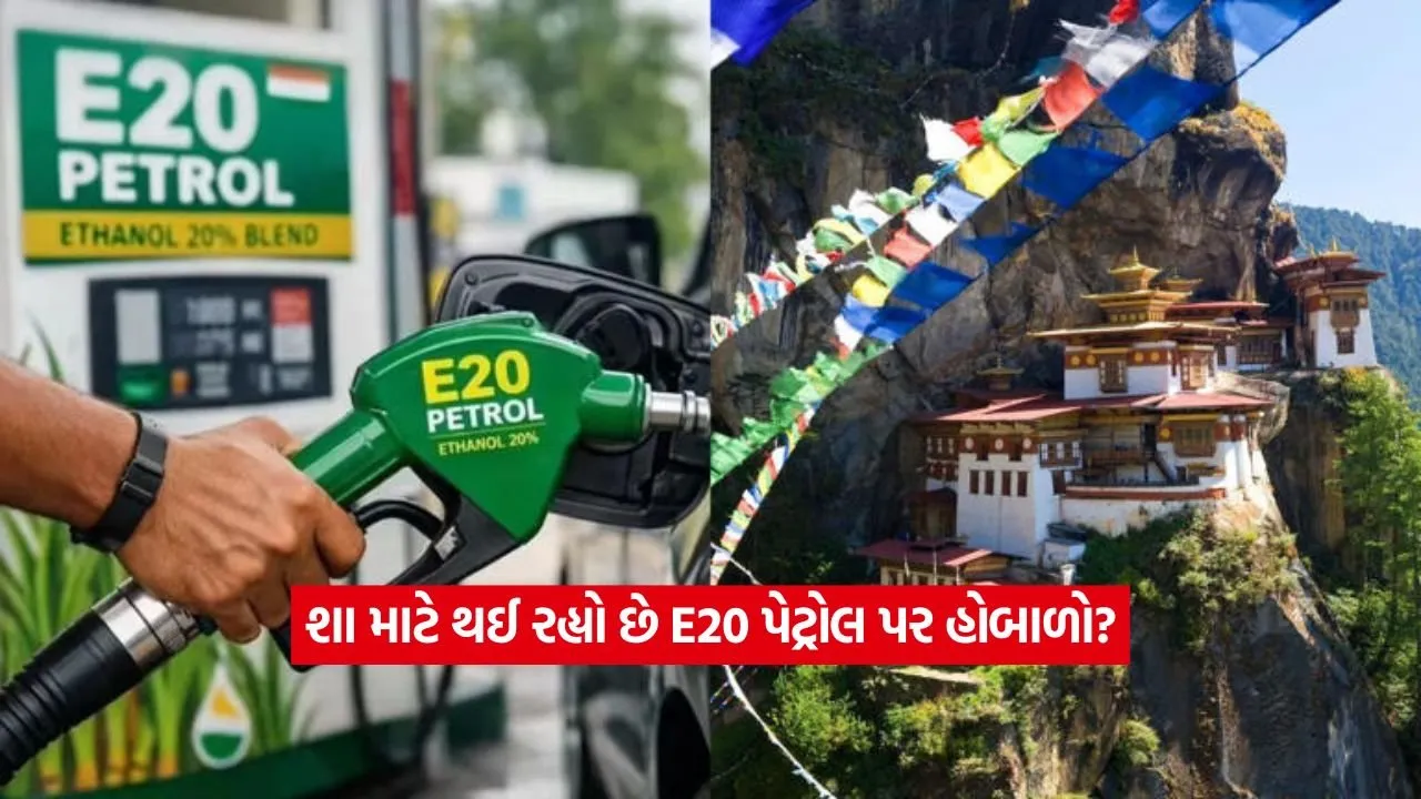 E20 Petrol2.jpg
