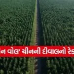 Great Green Wall