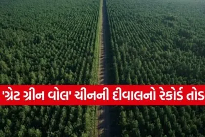 Great Green Wall