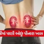 india 1 2026 07 06T195411.137