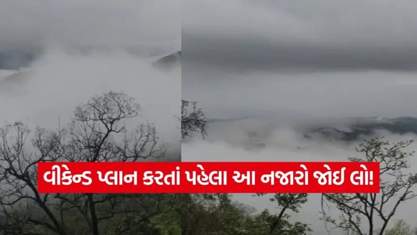 india 1 2026 07 06T201827.377