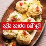 Dahi Puri 0707