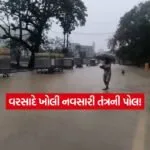 Navsari3
