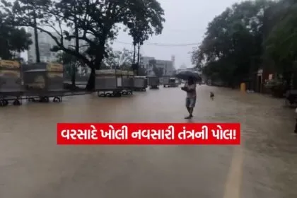 Navsari3