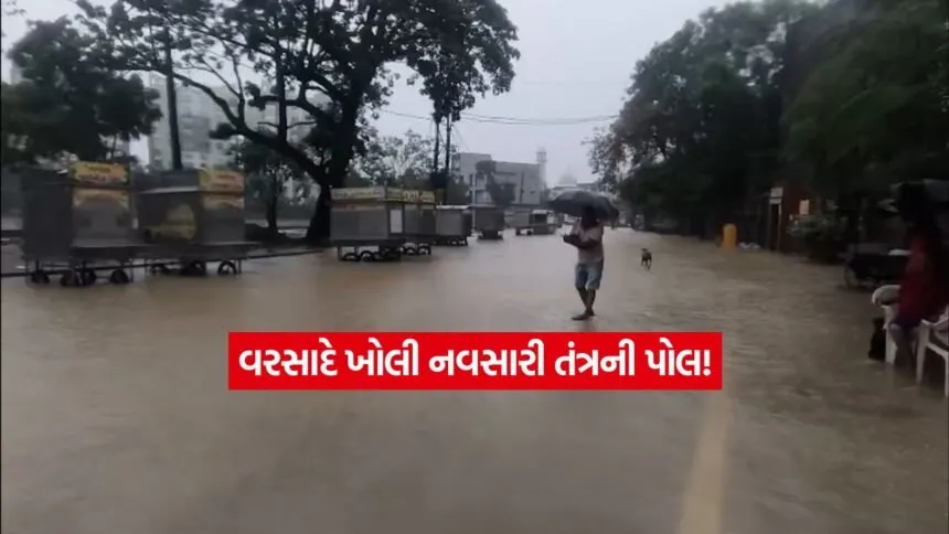 Navsari3