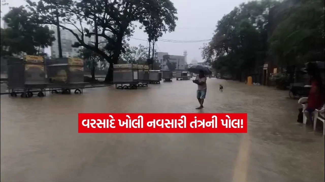 Navsari3.jpg