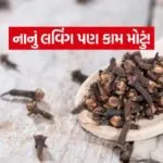 india 1 2026 07 07T114233.253