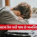 india 1 2026 07 07T141140.394