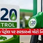 E20 Petrol
