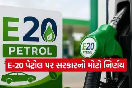 E20 Petrol