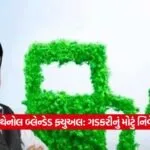 Nitin Gadkari3