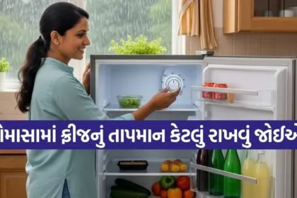 Monsoon Tips