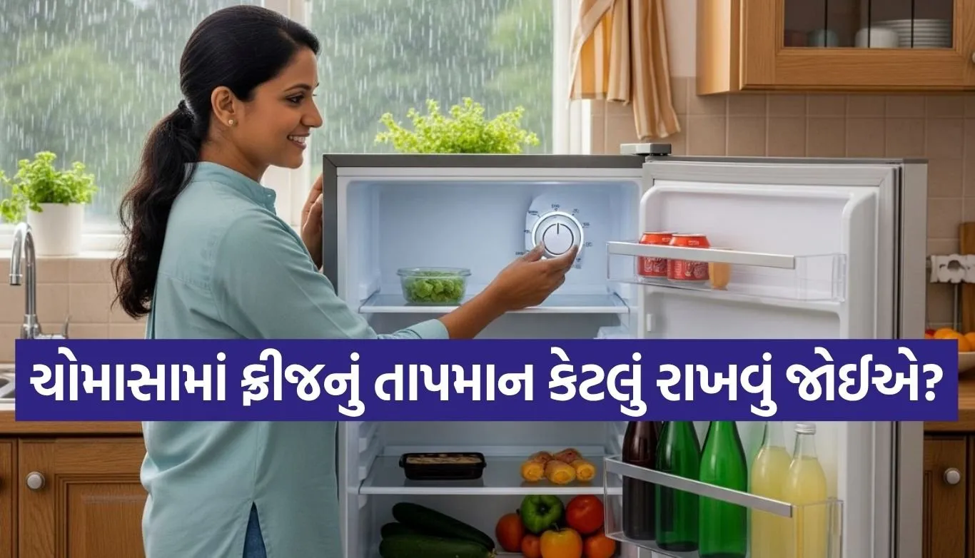 Monsoon Tips