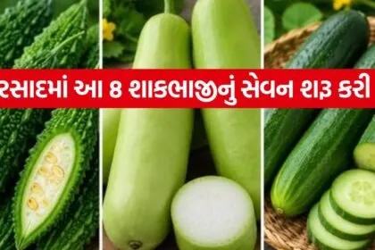 vegetables 0907