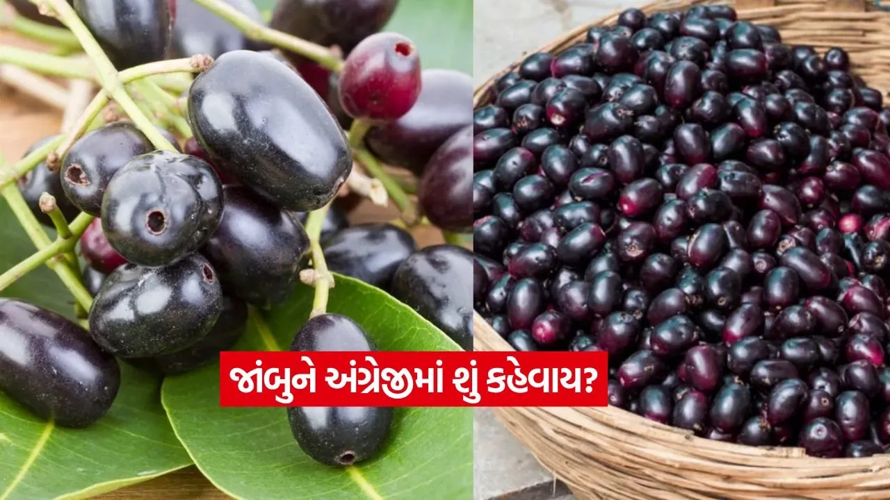 Jamun2.jpg