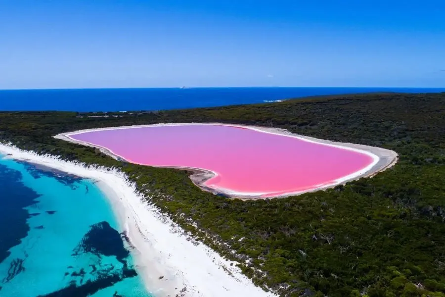 lake hillier pink.jpg