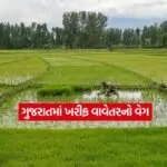 Kharif crop1