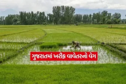 Kharif crop1