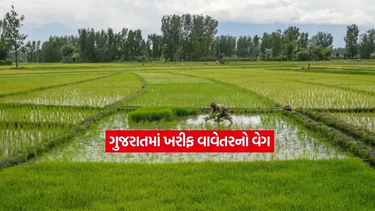 Kharif crop1.jpg