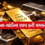 GOLD SILVER 1007
