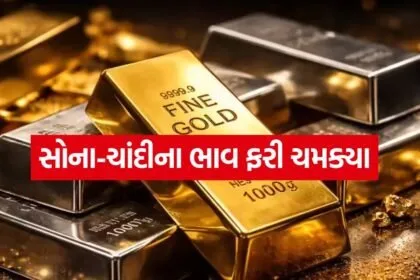 GOLD SILVER 1007
