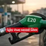 E 20 petrol2