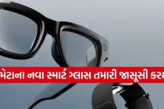 Meta AI Glasses
