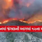 Spain Wildfire