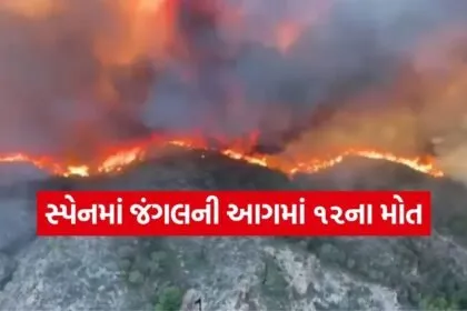 Spain Wildfire