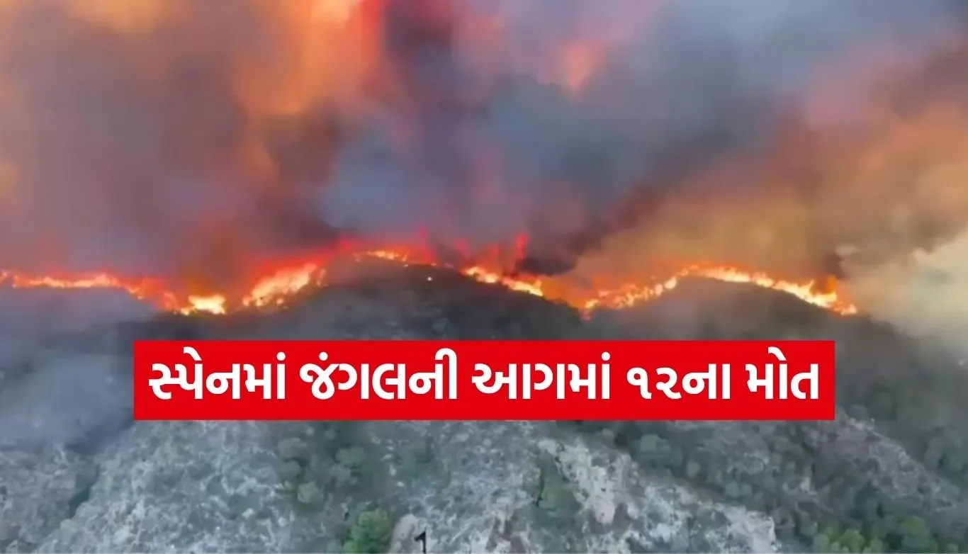 Spain Wildfire