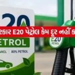 E20 petrol 1107