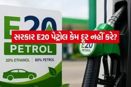 E20 petrol 1107