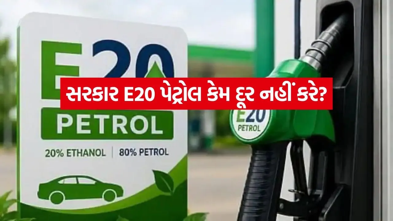 E20 petrol 1107.jpg