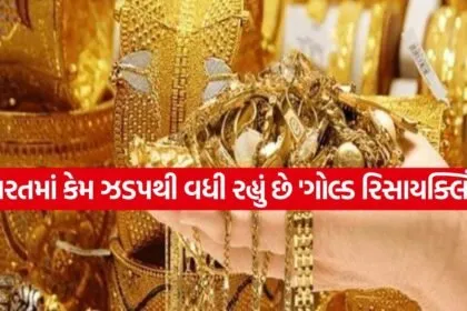 GOLD Trend 1307