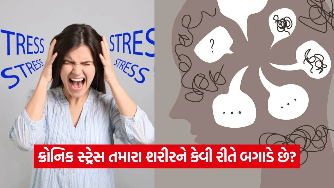શું તમારું શરીર પણ 'ક્રોનિક સ્ટ્રેસ'નો શિકાર બન્યું છે? આ 10 સંકેતોને ક્યારેય સામાન્ય ન ગણો 1 iNDIA 86.jpg