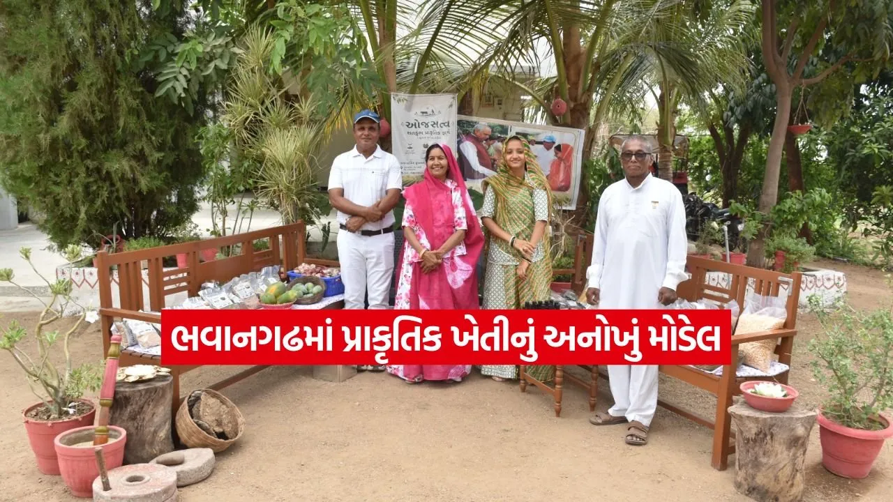 sabarkatha.jpg