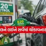 E20 Petrol