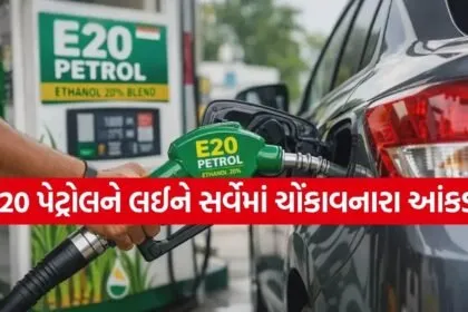 E20 Petrol