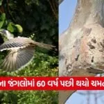 iNDIA 2026 07 14T110055.320