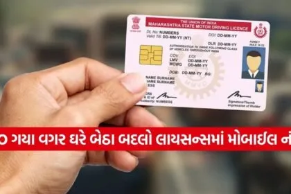 Driving License