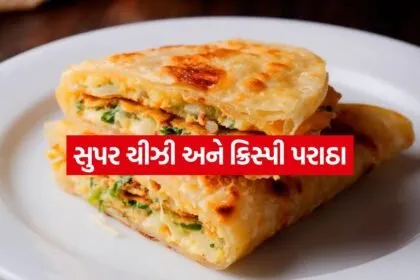 Chees Paratha 1507