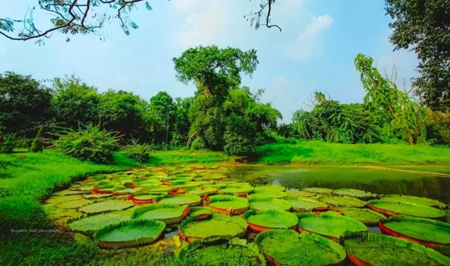નેચર લવર્સ માટે બેસ્ટ ડેસ્ટિનેશન: ભારતના આ બોટનિકલ ગાર્ડનમાં મળશે અદભૂત શાંતિ 3 botanical garden 1.jpg