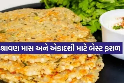 Sabudana paratha 1707