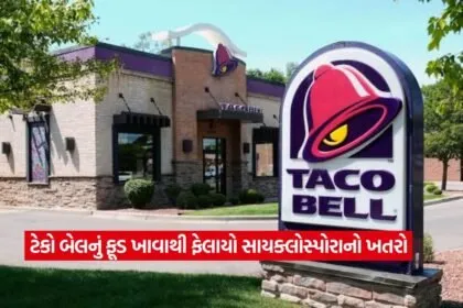 TACO BEll2