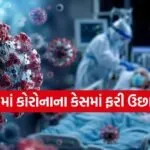 Corona virus