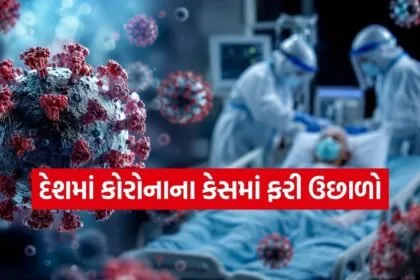 Corona virus