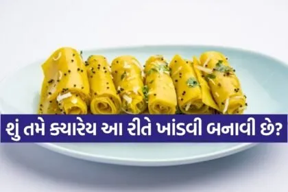 Khandvi